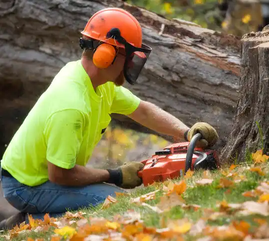 tree services West Yarmouth